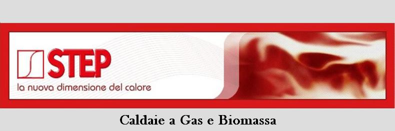 Caldaie Step a gas e biomassa