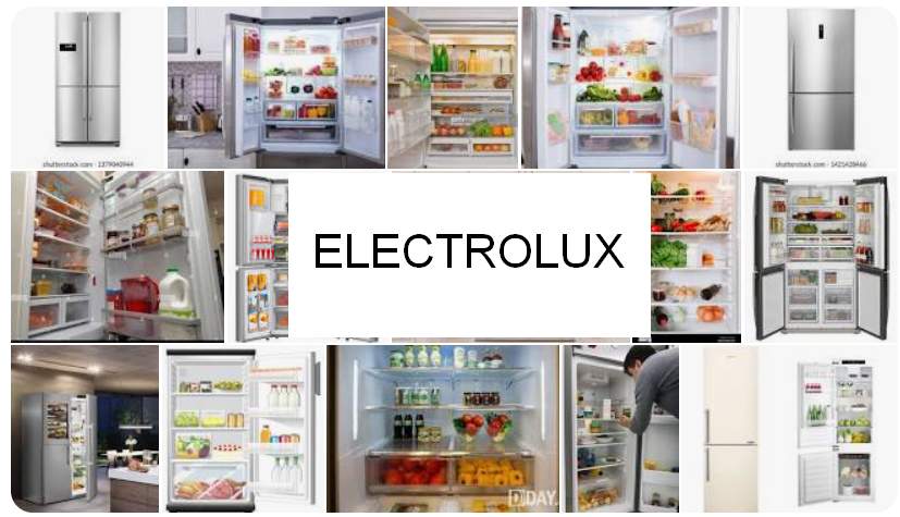 Schede tecniche e manuali uso frigoriferi Electrolux